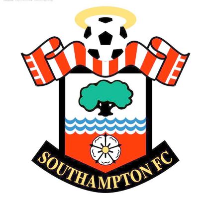 他对中国体 他对中国体