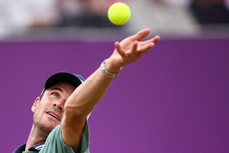 蓝黑4分领 蓝黑4分领